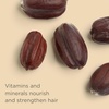 image:imageHairitage Gentle Daily Hydrating and Moisturizing Shampoo For Dry Hair with Jojoba Oil  Aloe Vera  UltraMild  MoistureRich  Improves Dry Brittle Strands 13 fl ozDaily Shampoo 13oz
