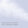 image:imageHairitage Lazy Day Dry Shampoo  Translucent Volumizing OilAbsorbing  Adds Texture amp Volume  Apple Cider Vinegar Rinse Tonic  Scalp Scrub BundleDry Shampoo