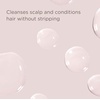 image:imageHairitage Lazy Day Dry Shampoo  Translucent Volumizing OilAbsorbing  Adds Texture amp Volume  Apple Cider Vinegar Rinse Tonic  Scalp Scrub BundleDry Shampoo  ACV Rinse