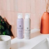 image:imageHairitage Lazy Day Dry Shampoo  Translucent Volumizing OilAbsorbing  Adds Texture amp Volume  Apple Cider Vinegar Rinse Tonic  Scalp Scrub BundleDry Shampoo